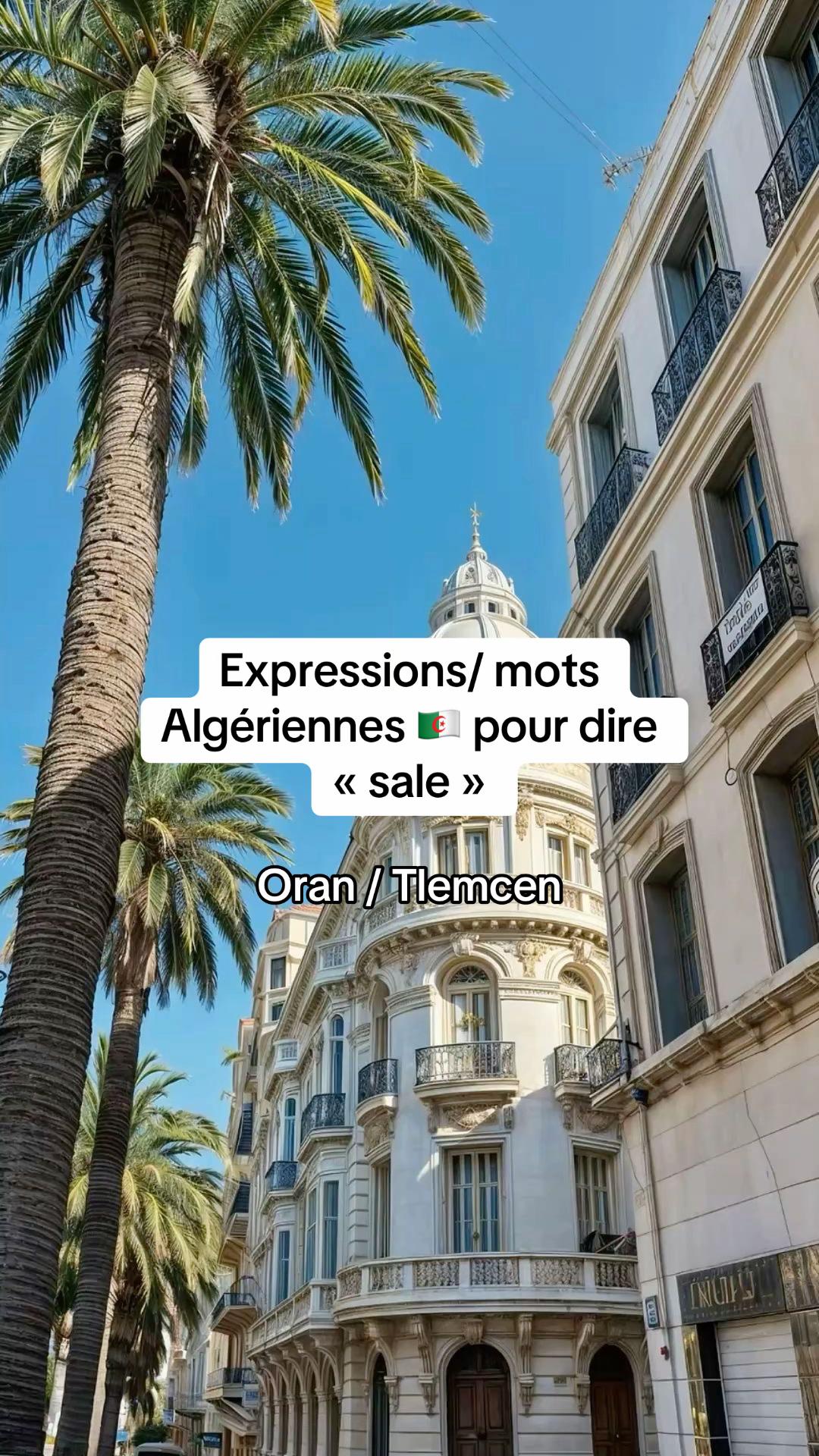 @🇩🇿