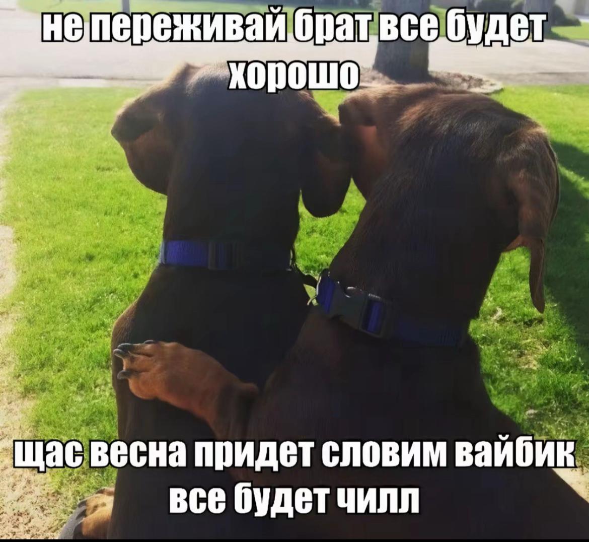 @рири