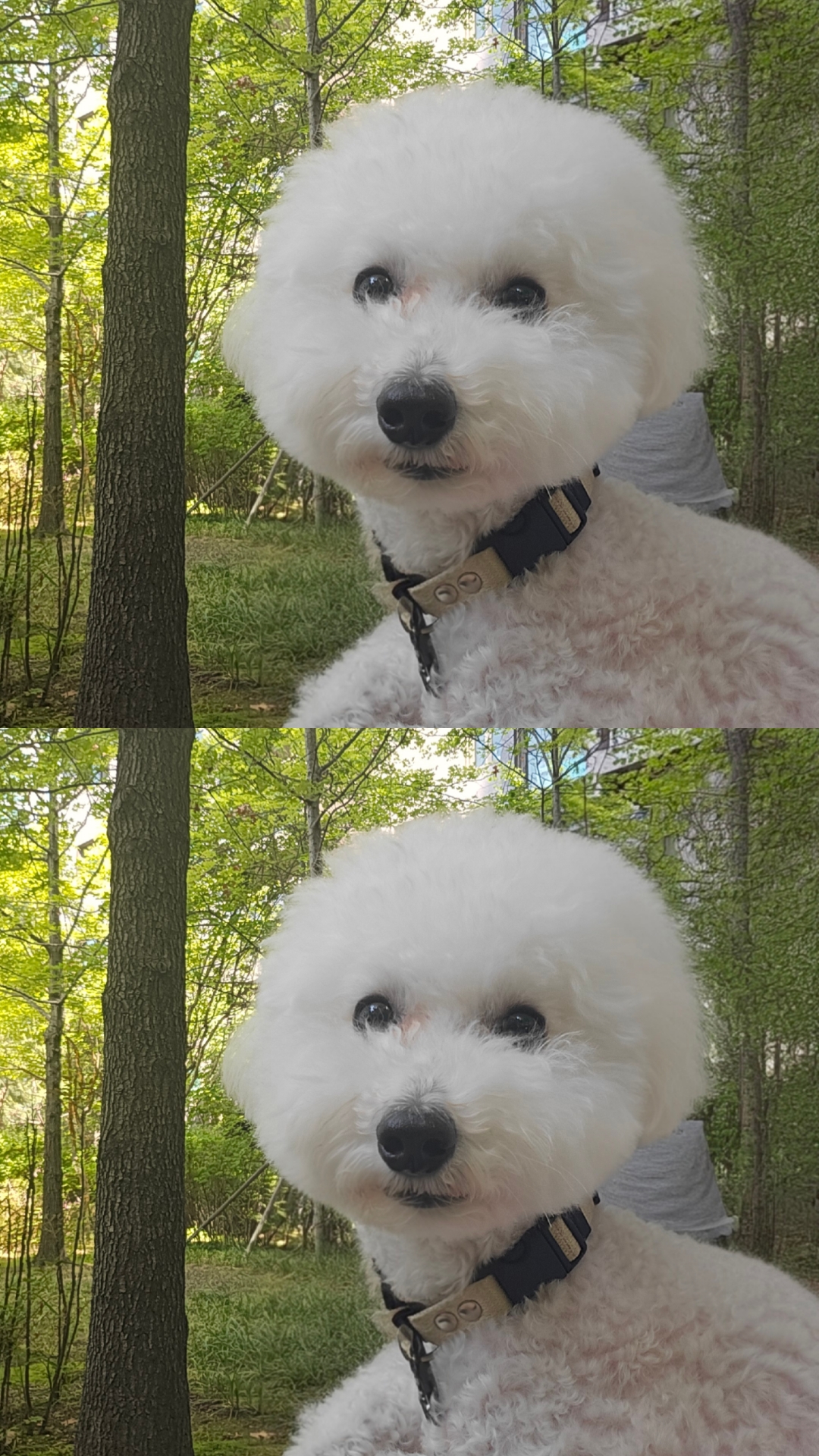 @코우