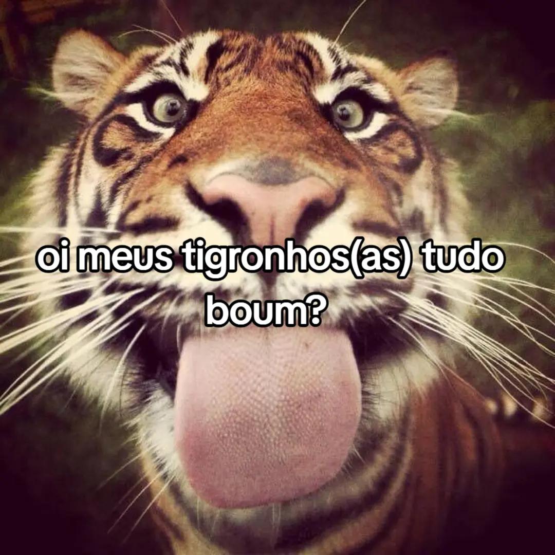 @✹🖕🐯l&ecirc; tigronica🧡🤑✹