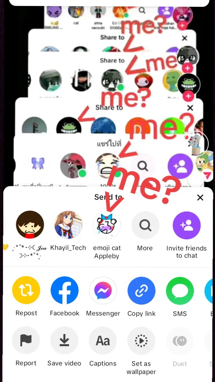@pupien