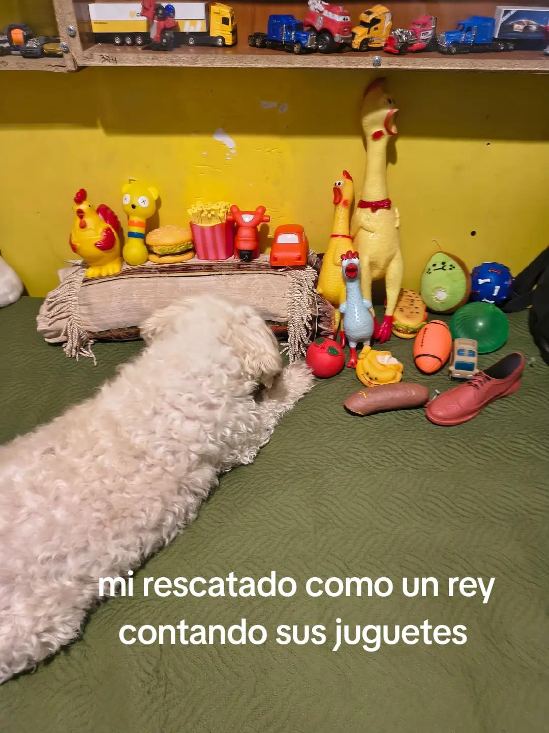@uberlinda