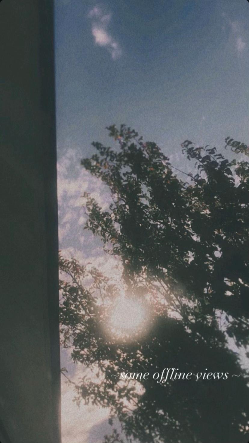 @_.shreyahh🕸️