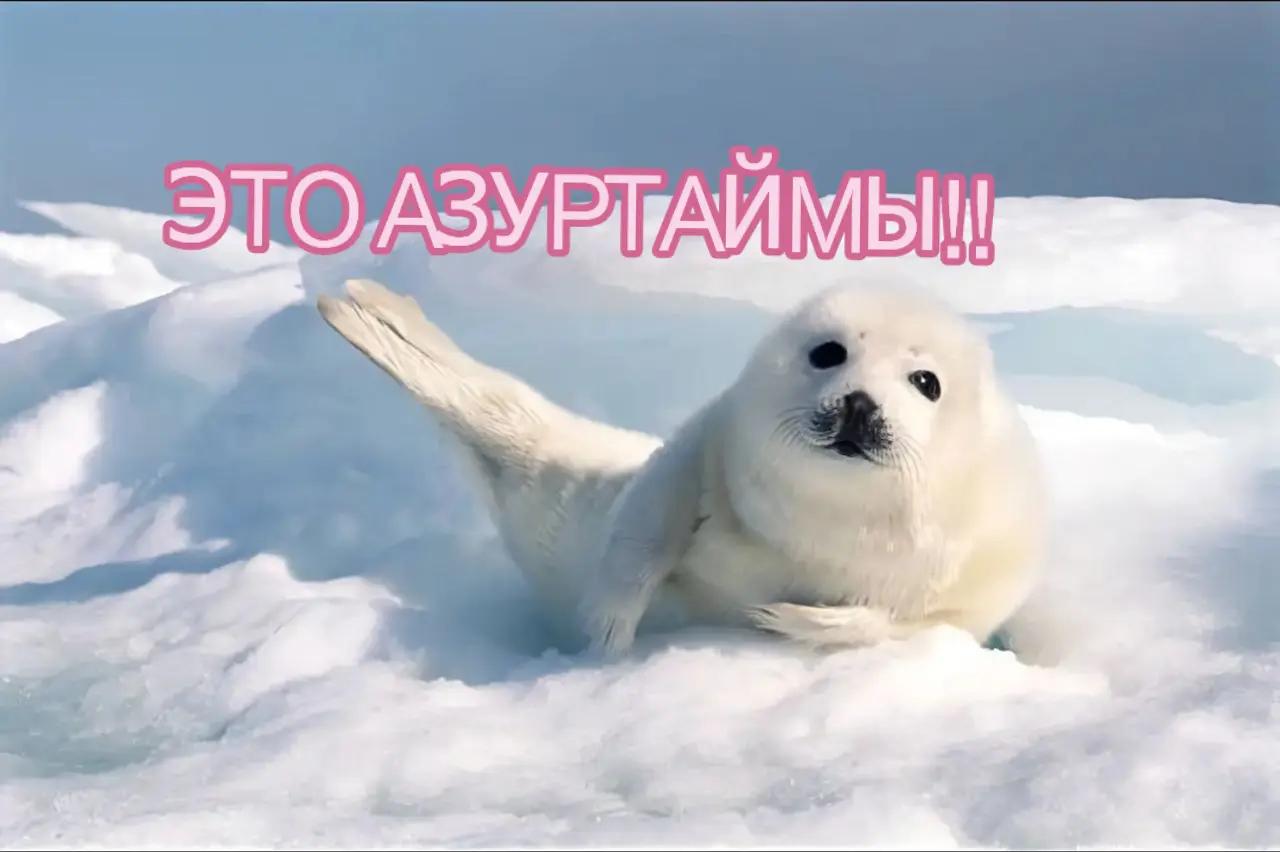 @^^shillalalalaXD@