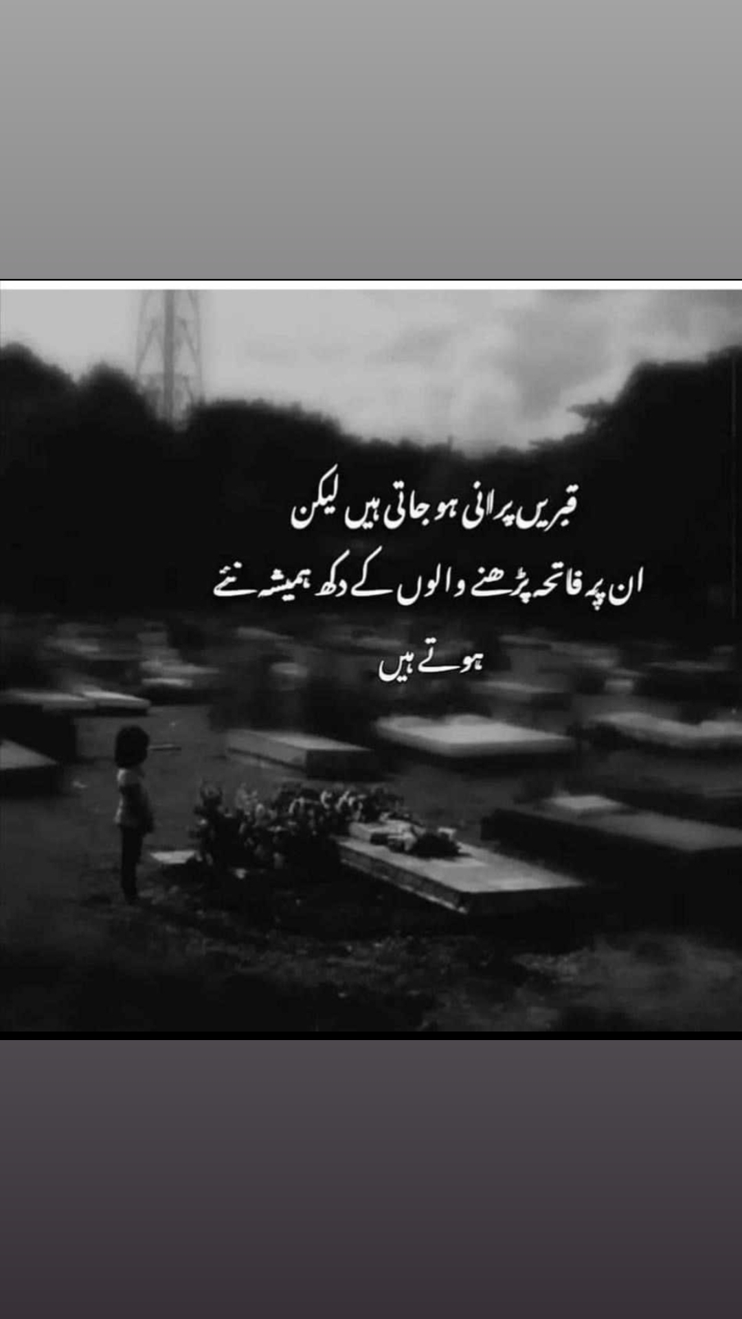 @user778755
