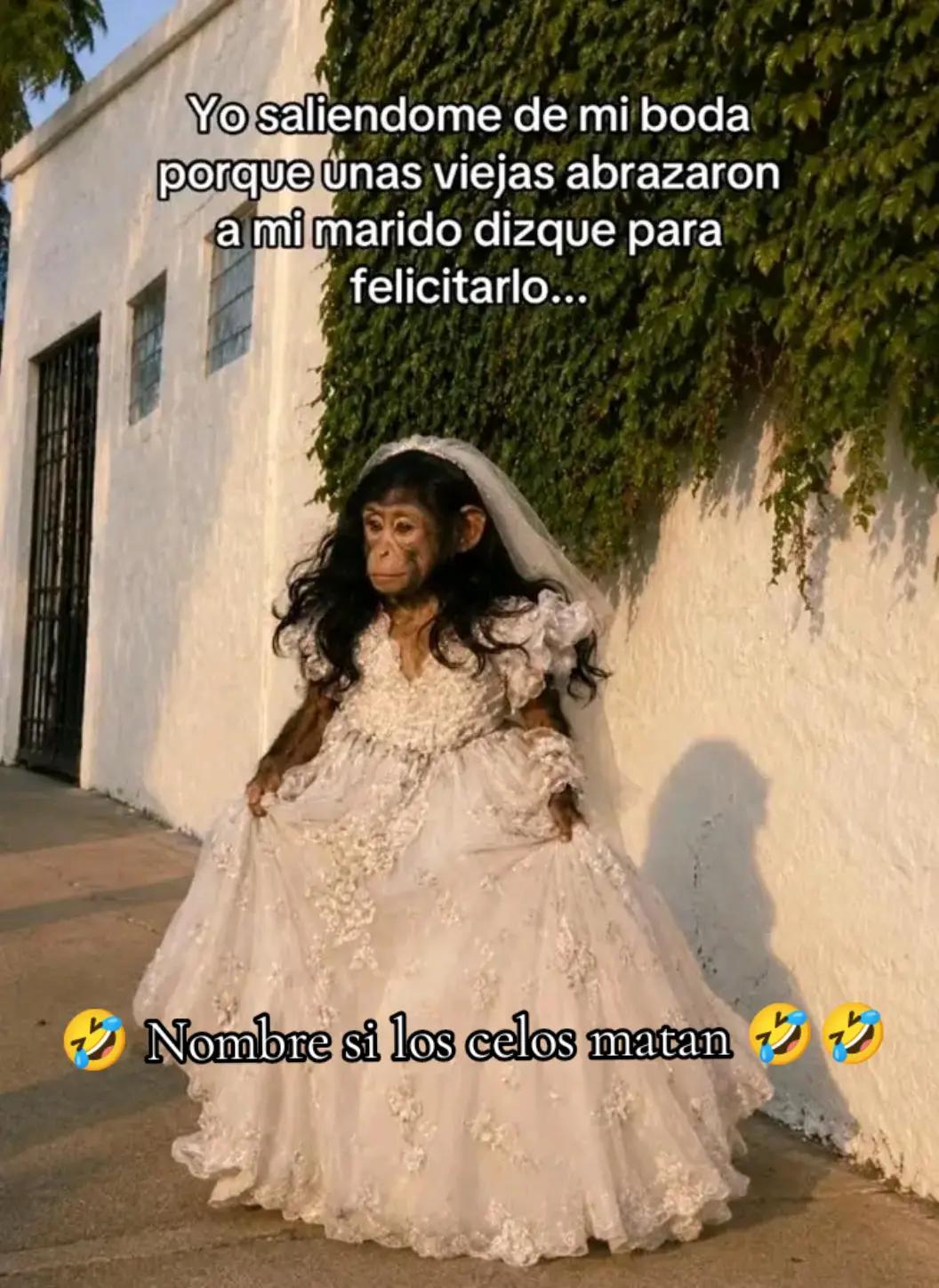 @🎲 Melendrez🇬🇹