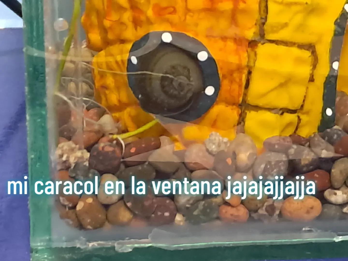 @sebavlogs
