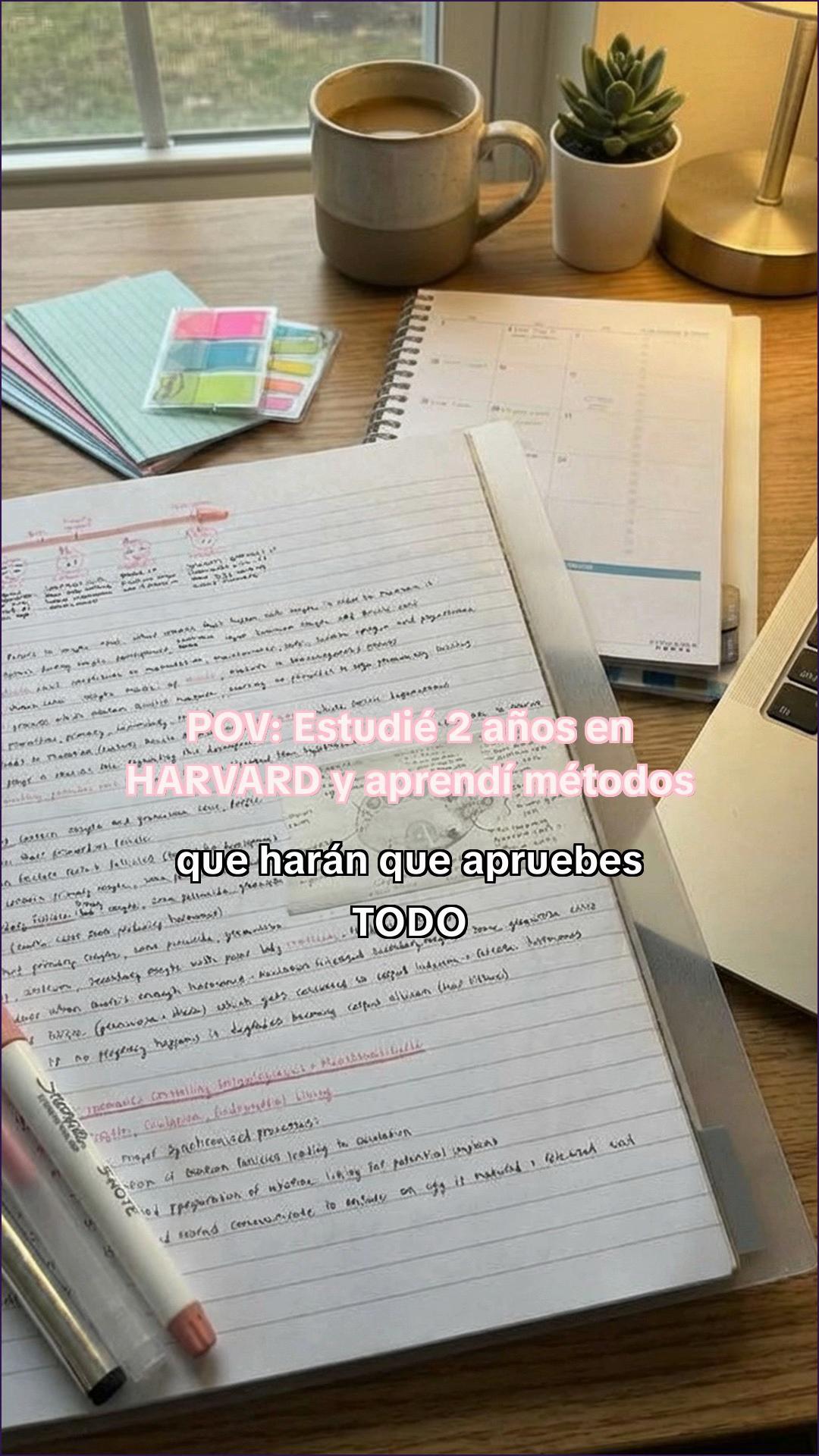 @Estudiaconmia