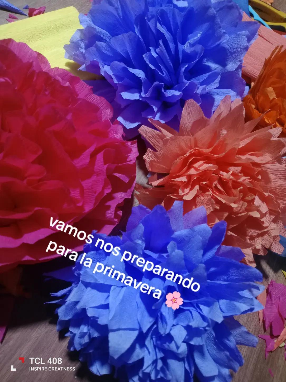 @adri