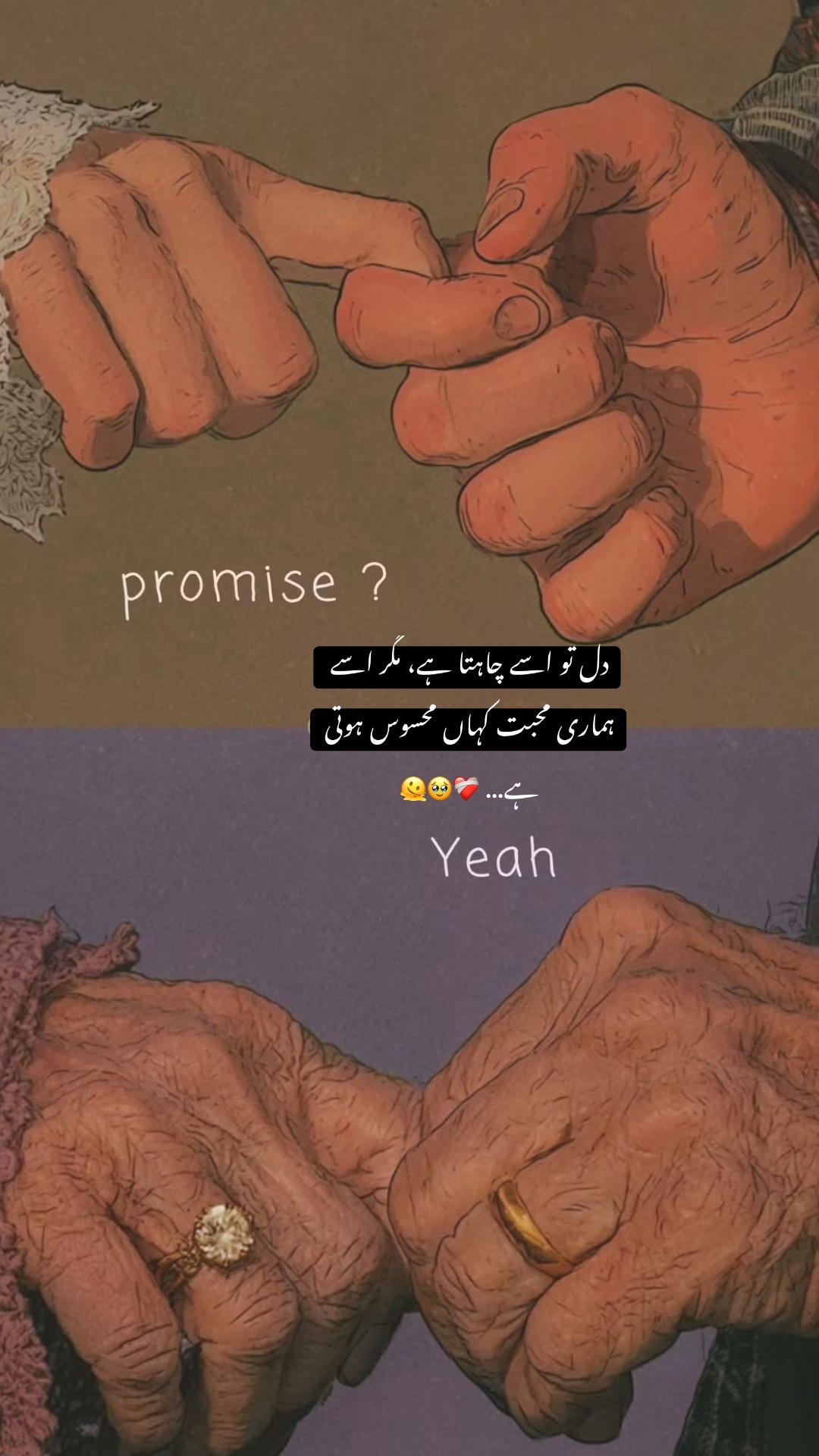 @☾✩⋆