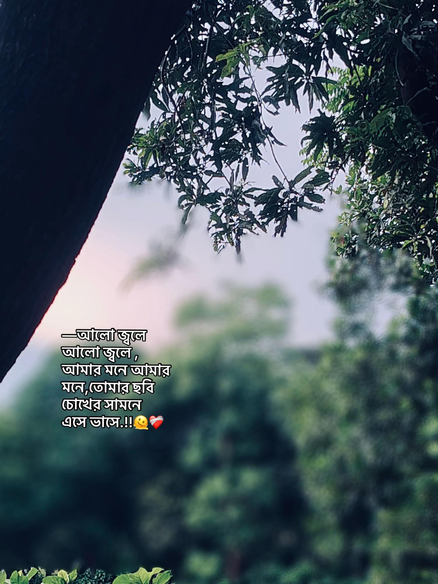@⏳𝐒𝐡𝐚𝐝𝐨𝐰𝐗𝐞𝐧_ 🚩