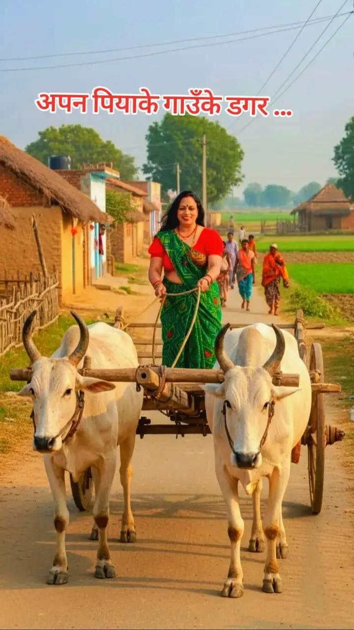 @Suman shah