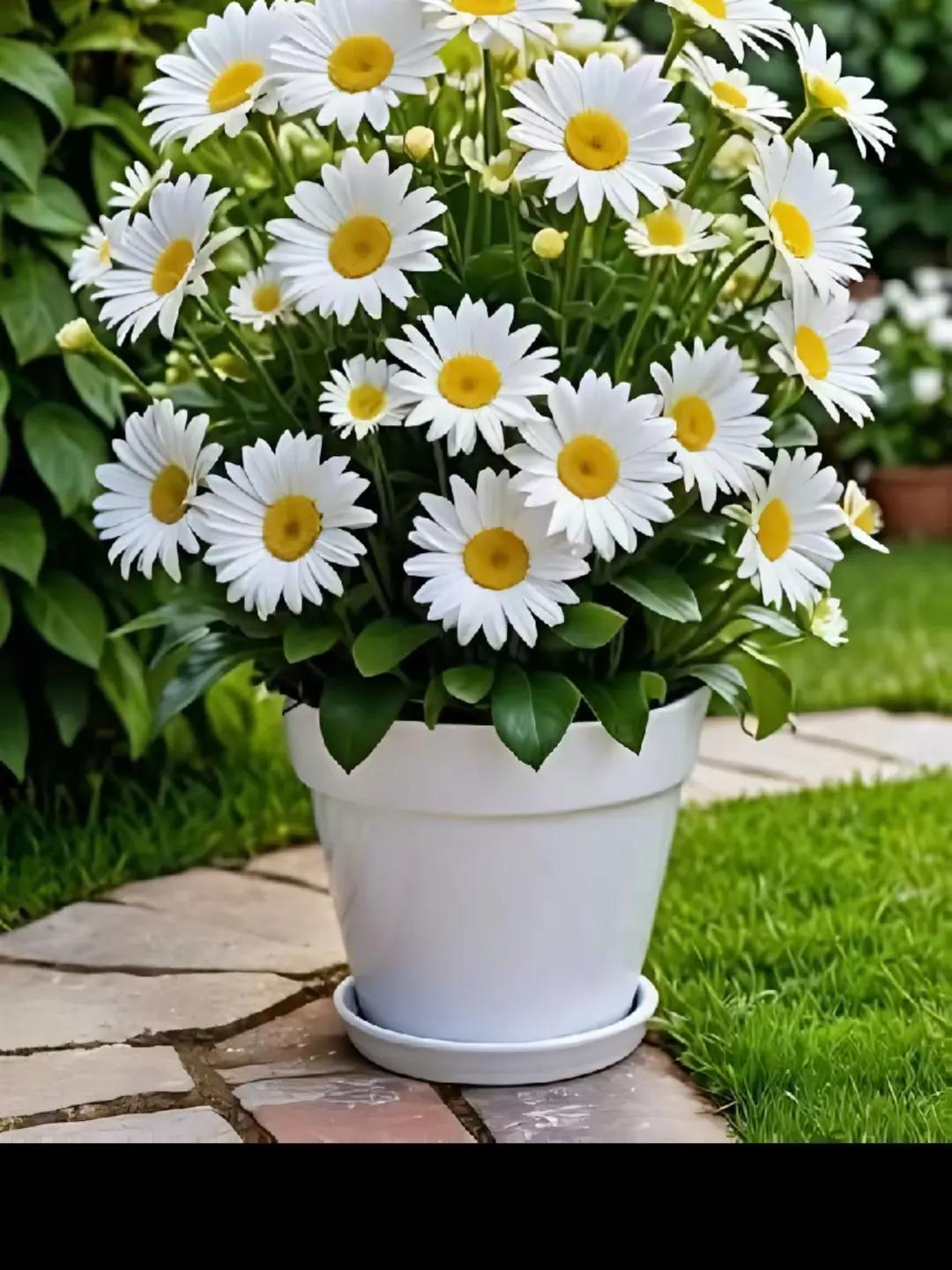 @ayhankavlak