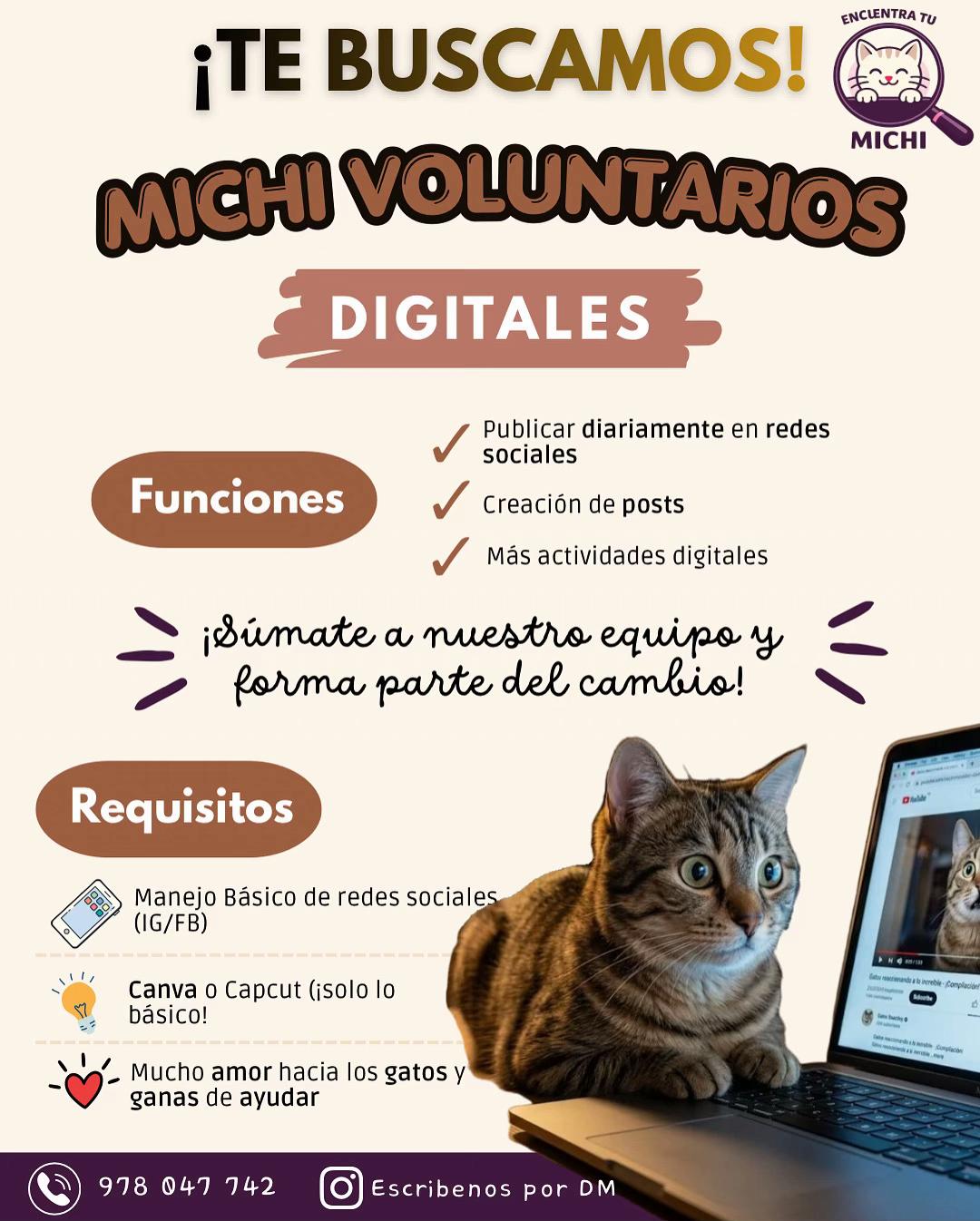 @Encuentra tu Michi
