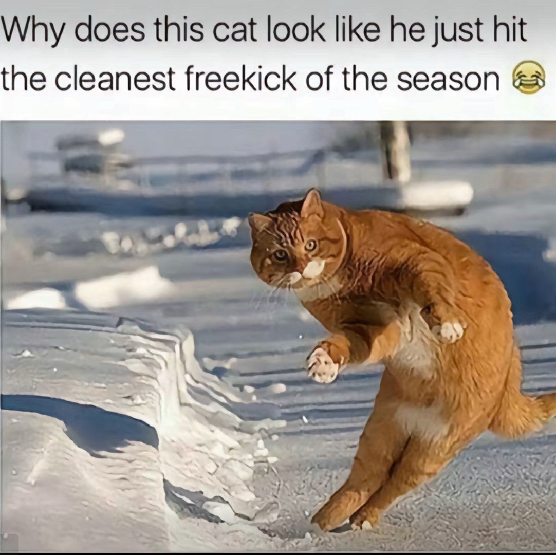 @Adamsky