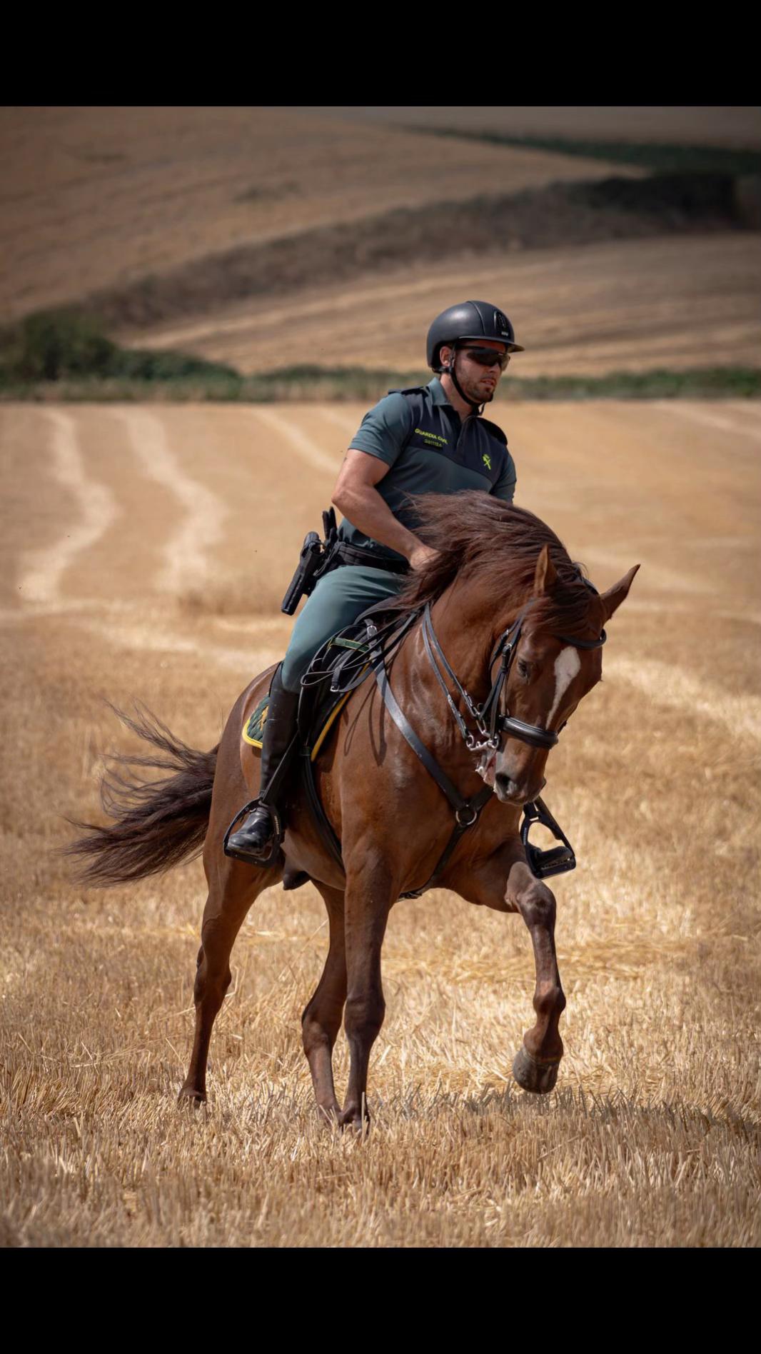 @Guardia Civil Navarra