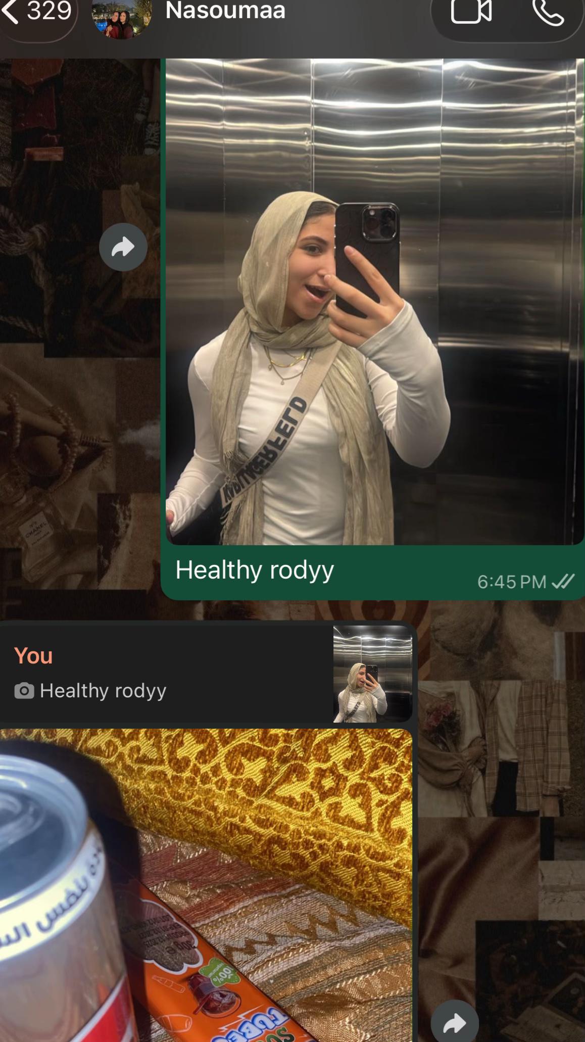 @rody-elsawy