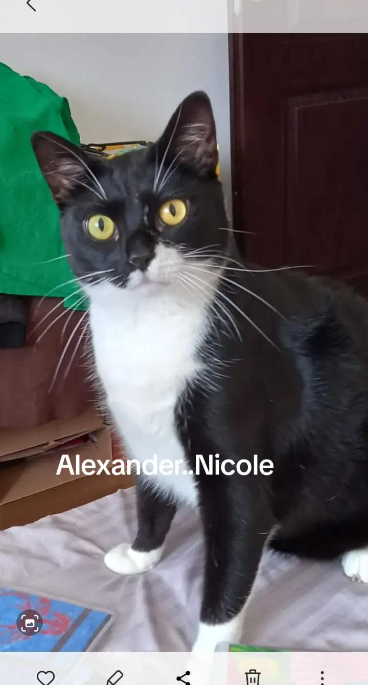 @Alexander..Nicole