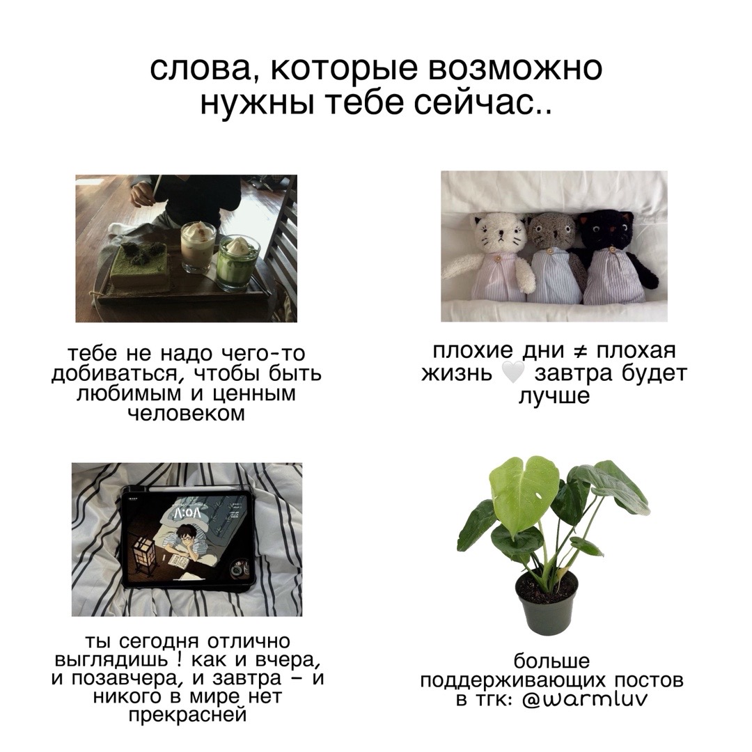@лаванда ! ♡ . °