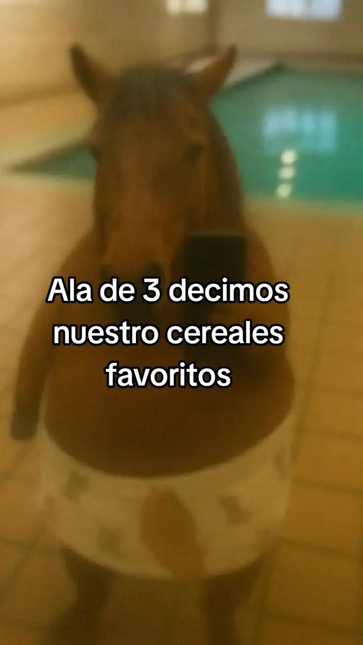 @LechugaFF☄️