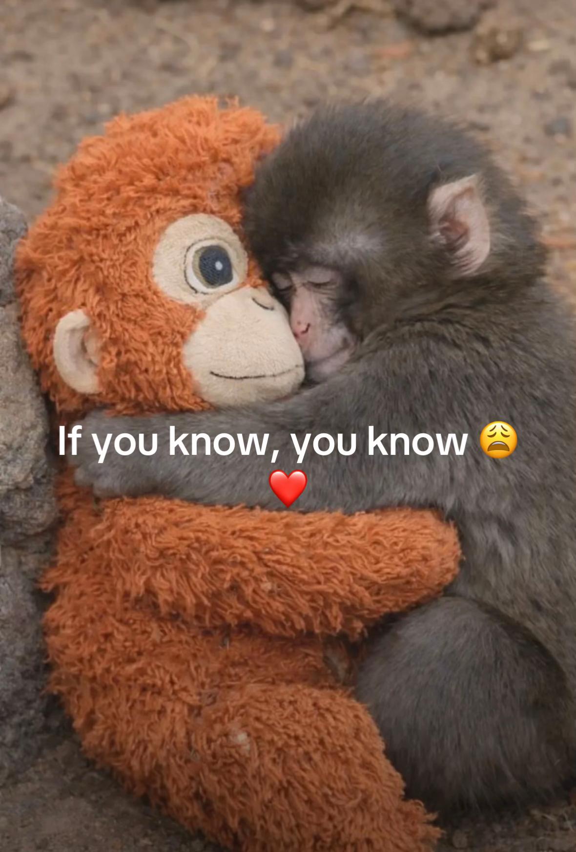 @Hayley 🌸