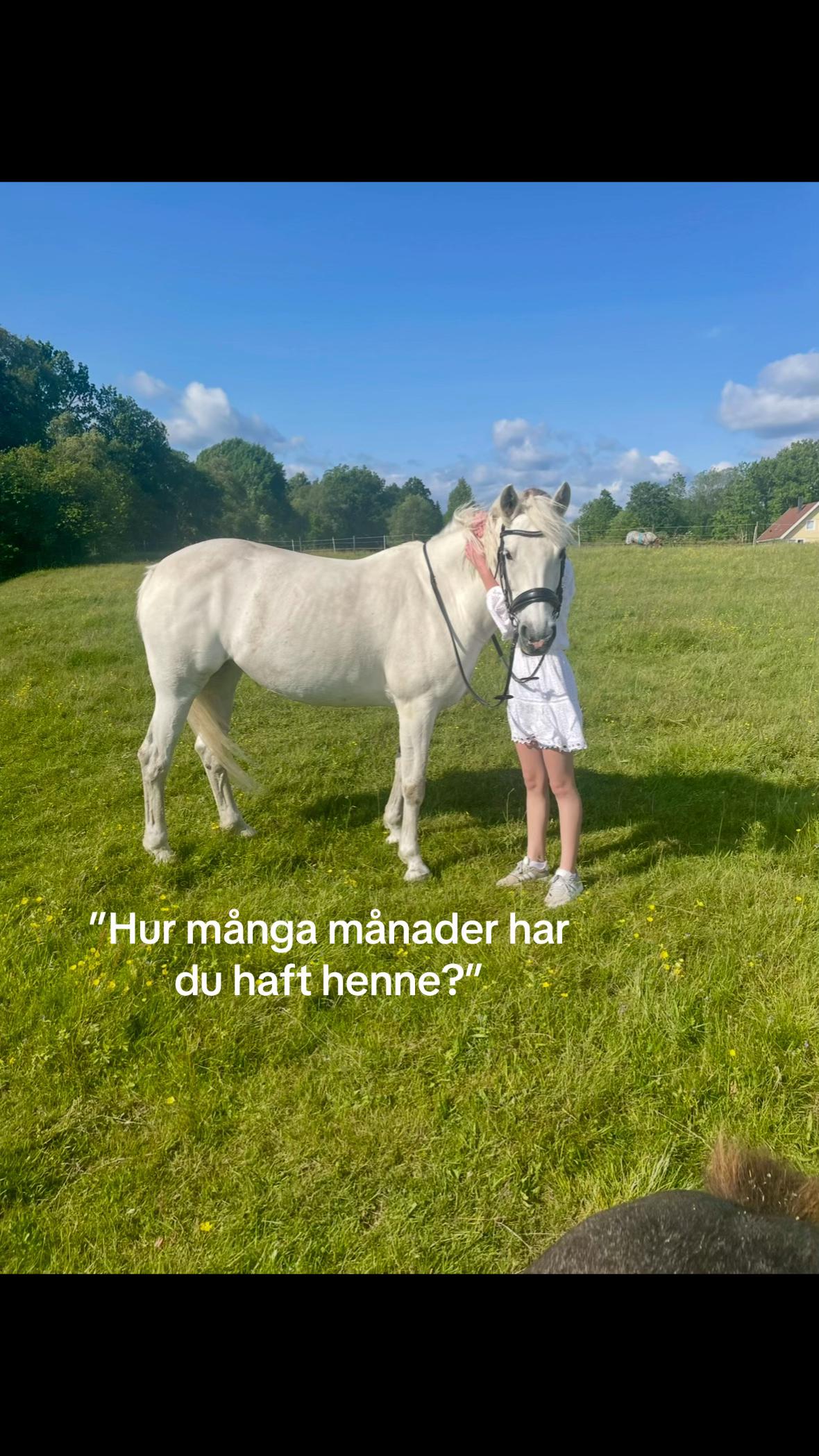 @Ella Karlsson