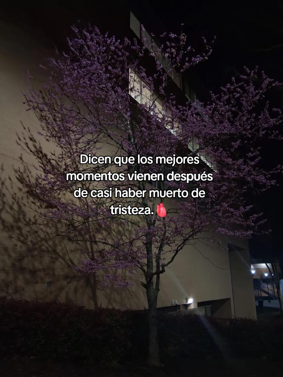 @mely.🥺
