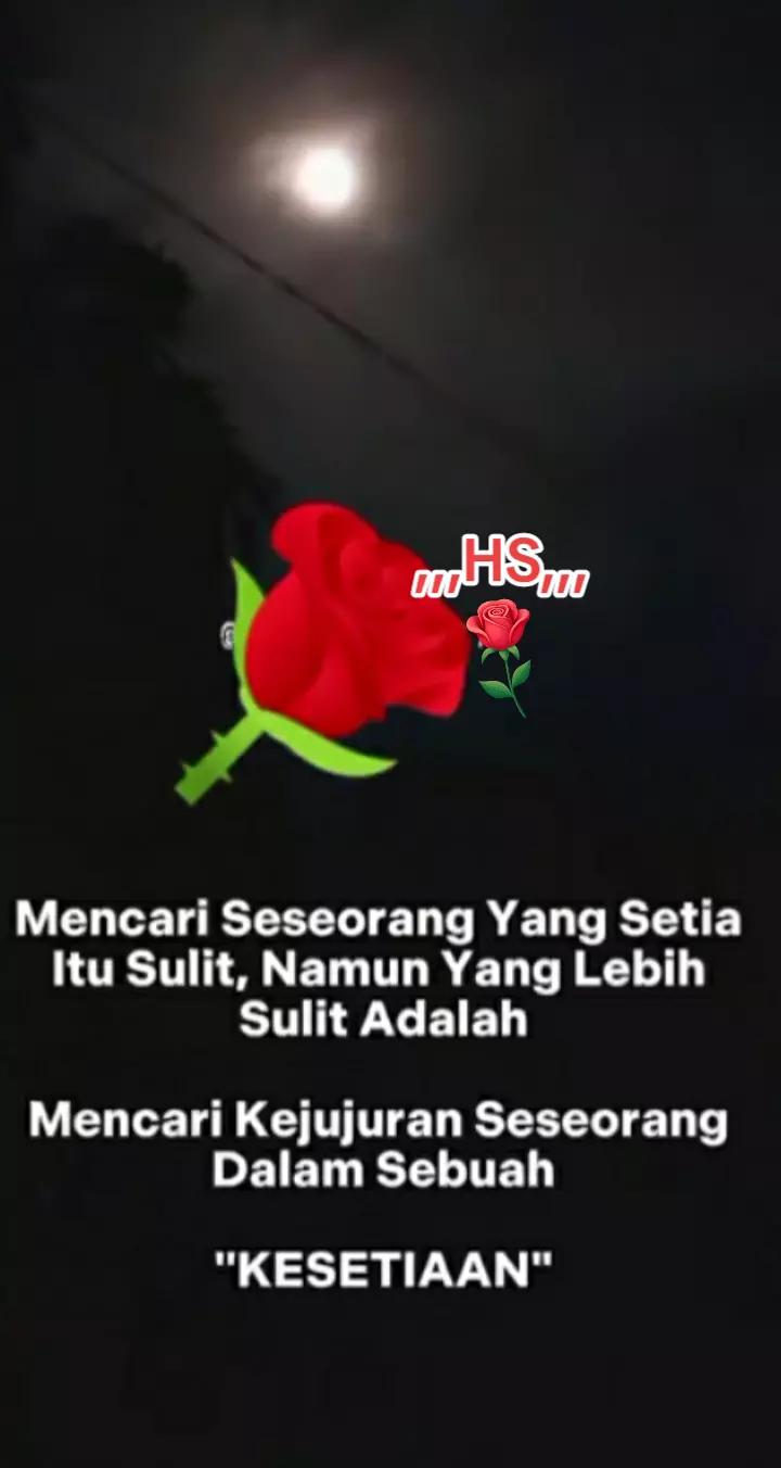 @,,,HS,,,