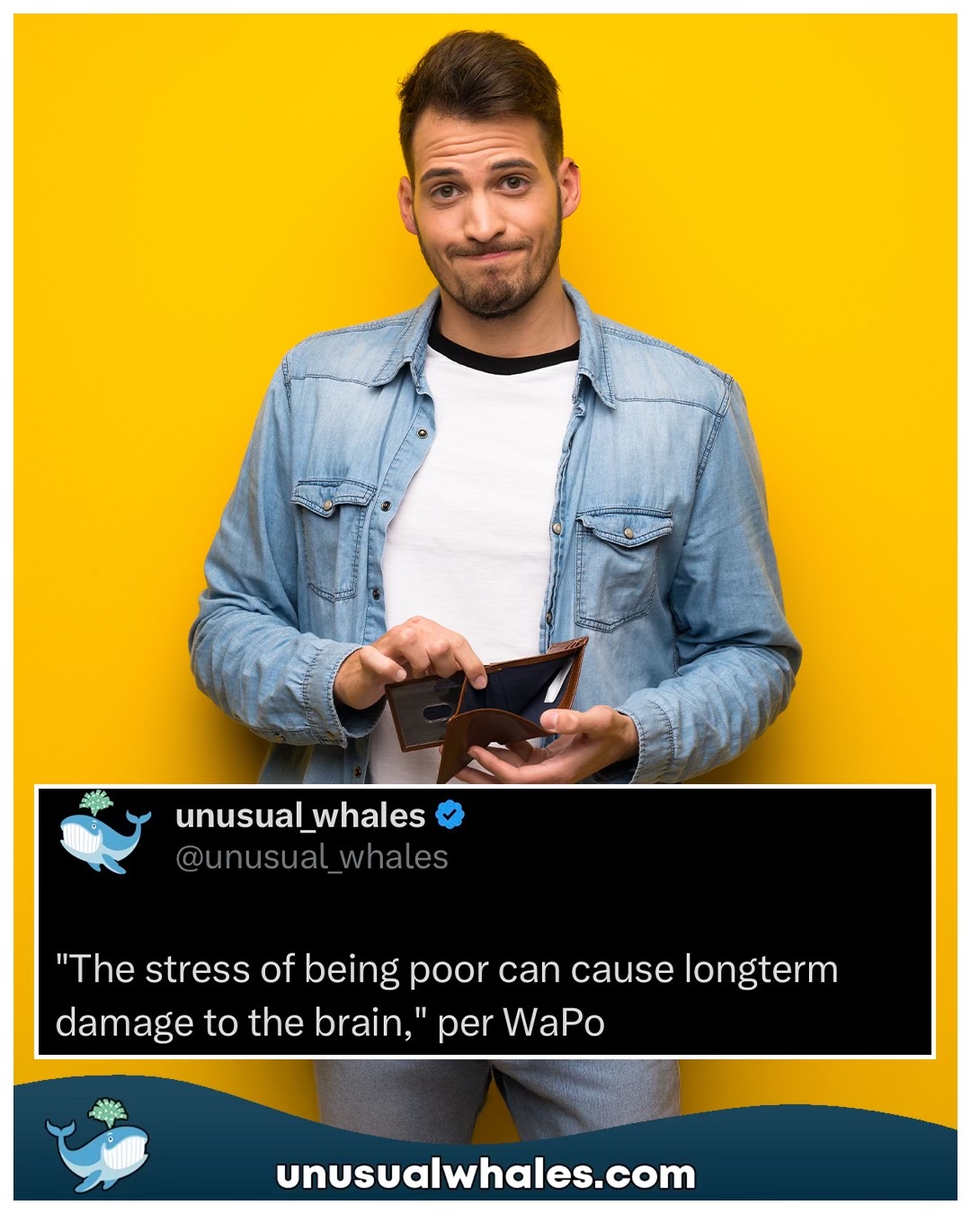 @Unusual Whales