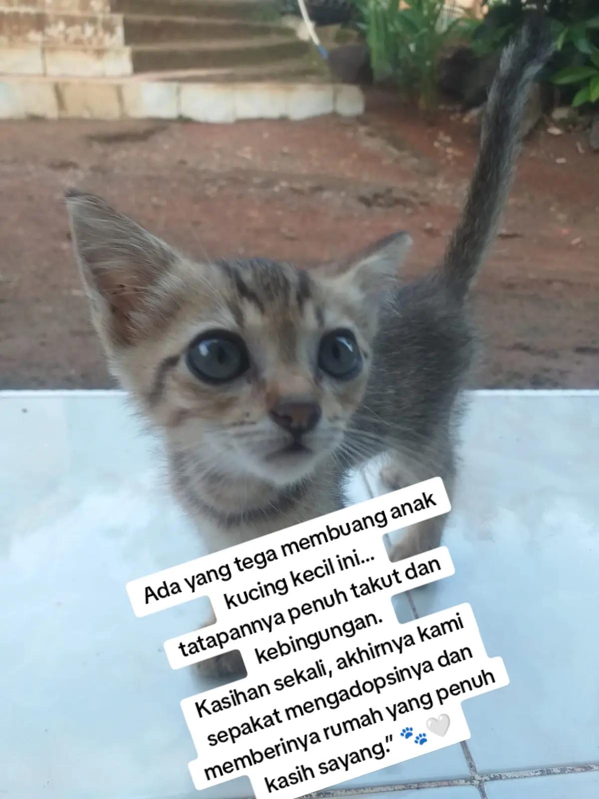 @Rizqi