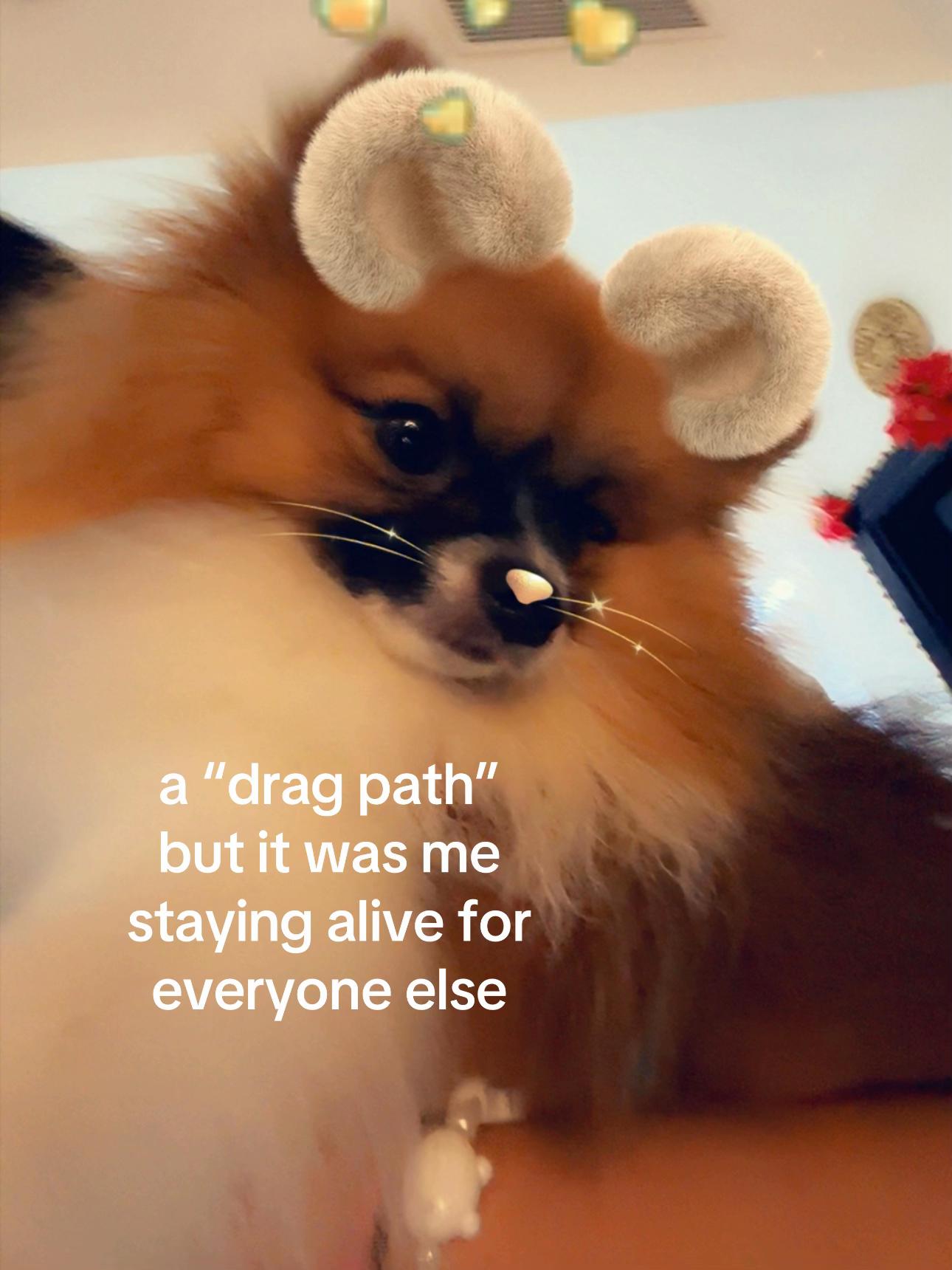 @andi.spqms