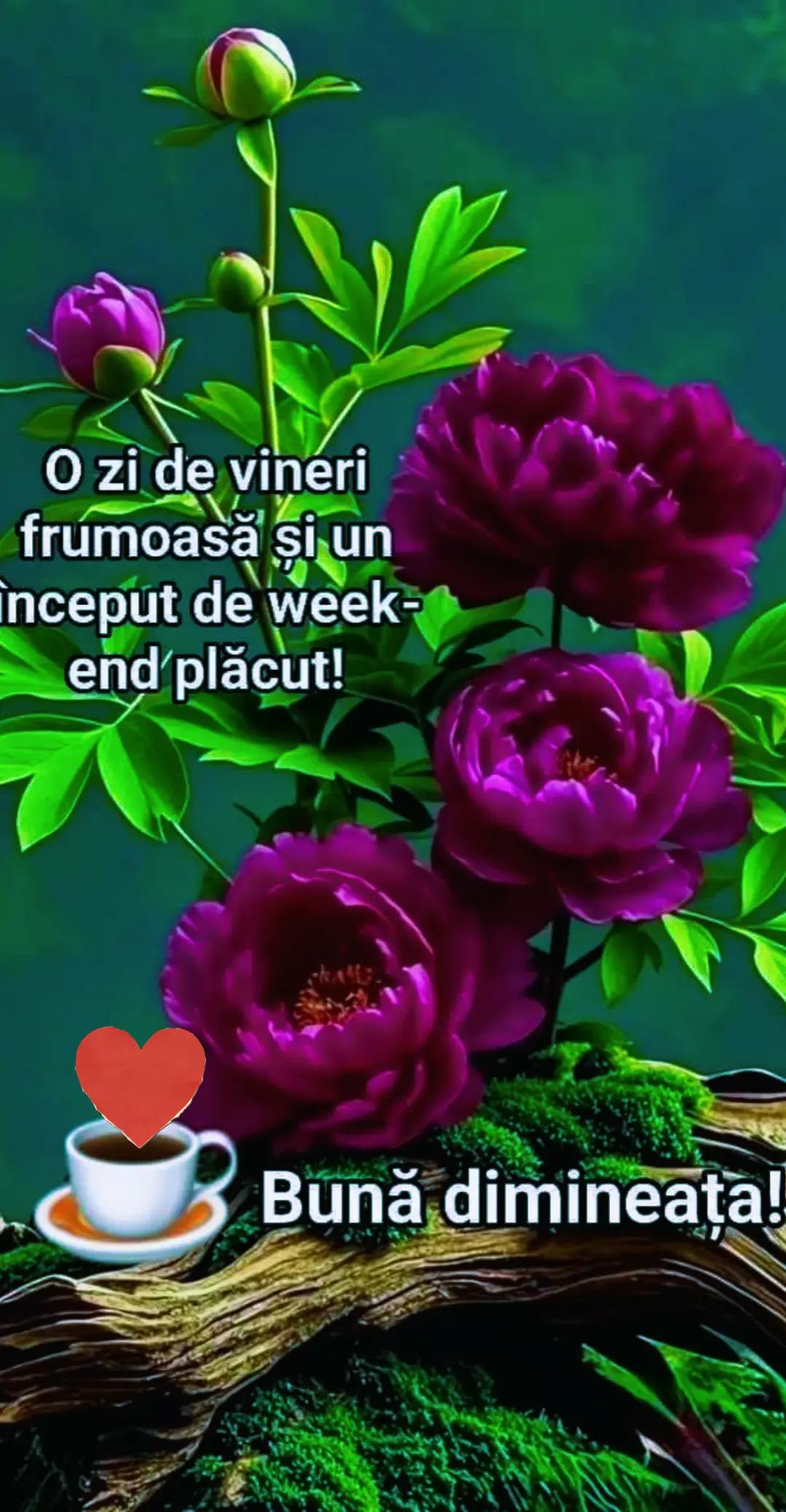 @Gabriela Gaby