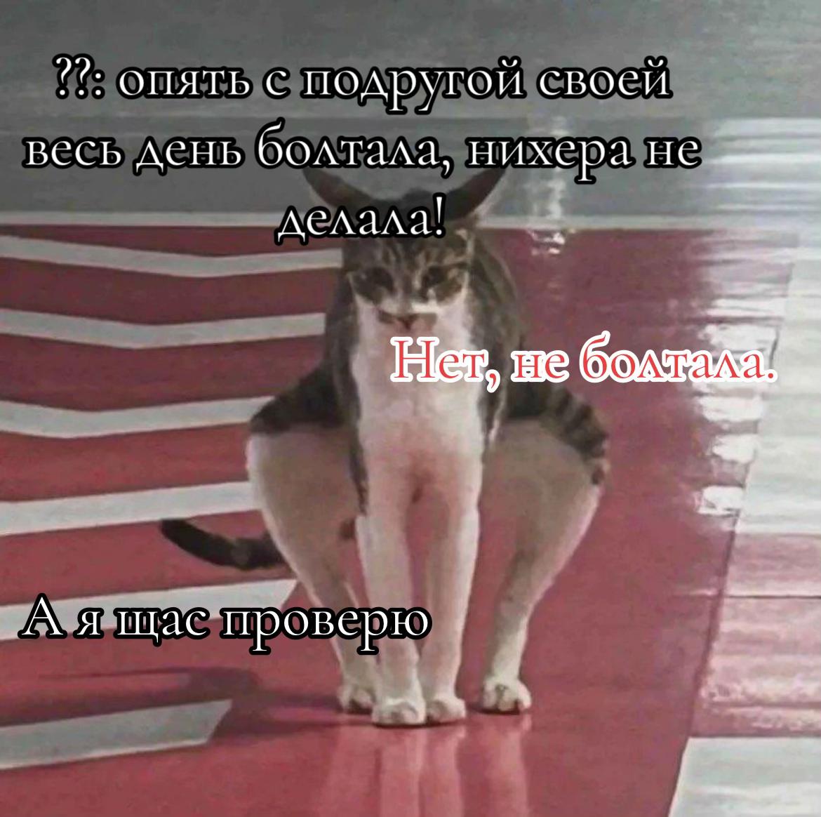 @Вефекс