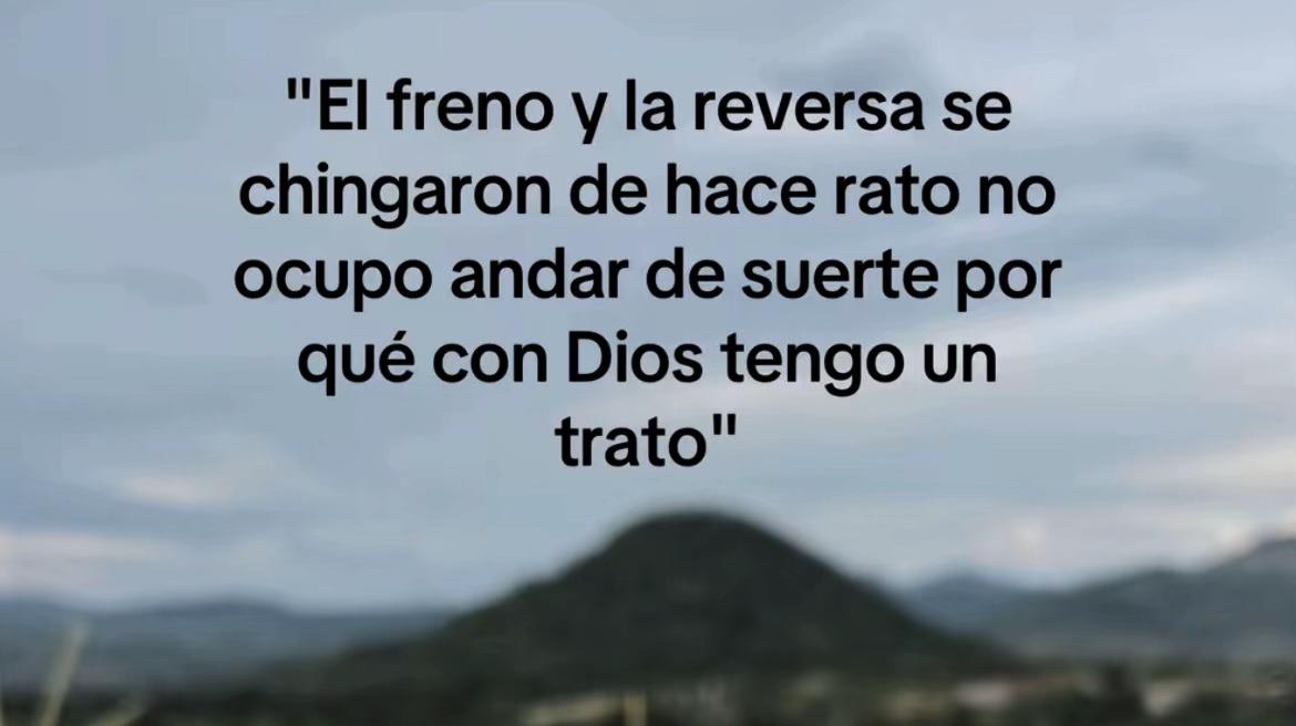 @mireya hg