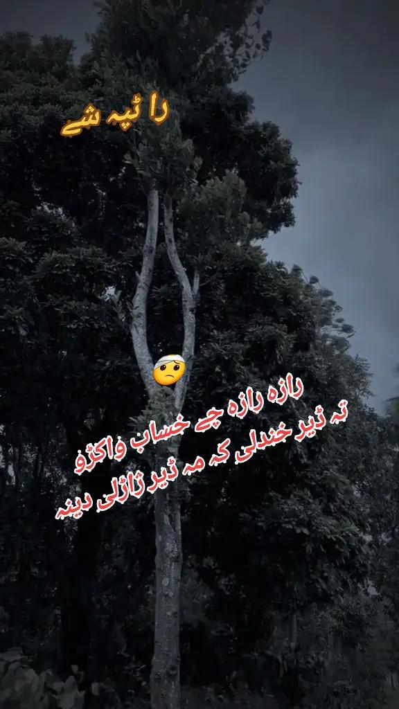 @🇶🇦جنجلی ھلکہ🇵🇰