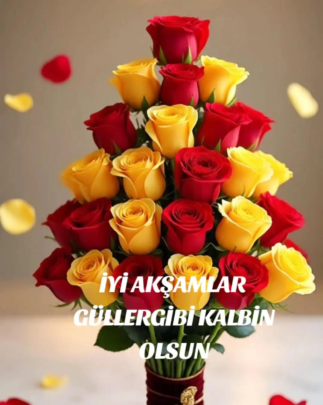 @Hasan Yılmaz