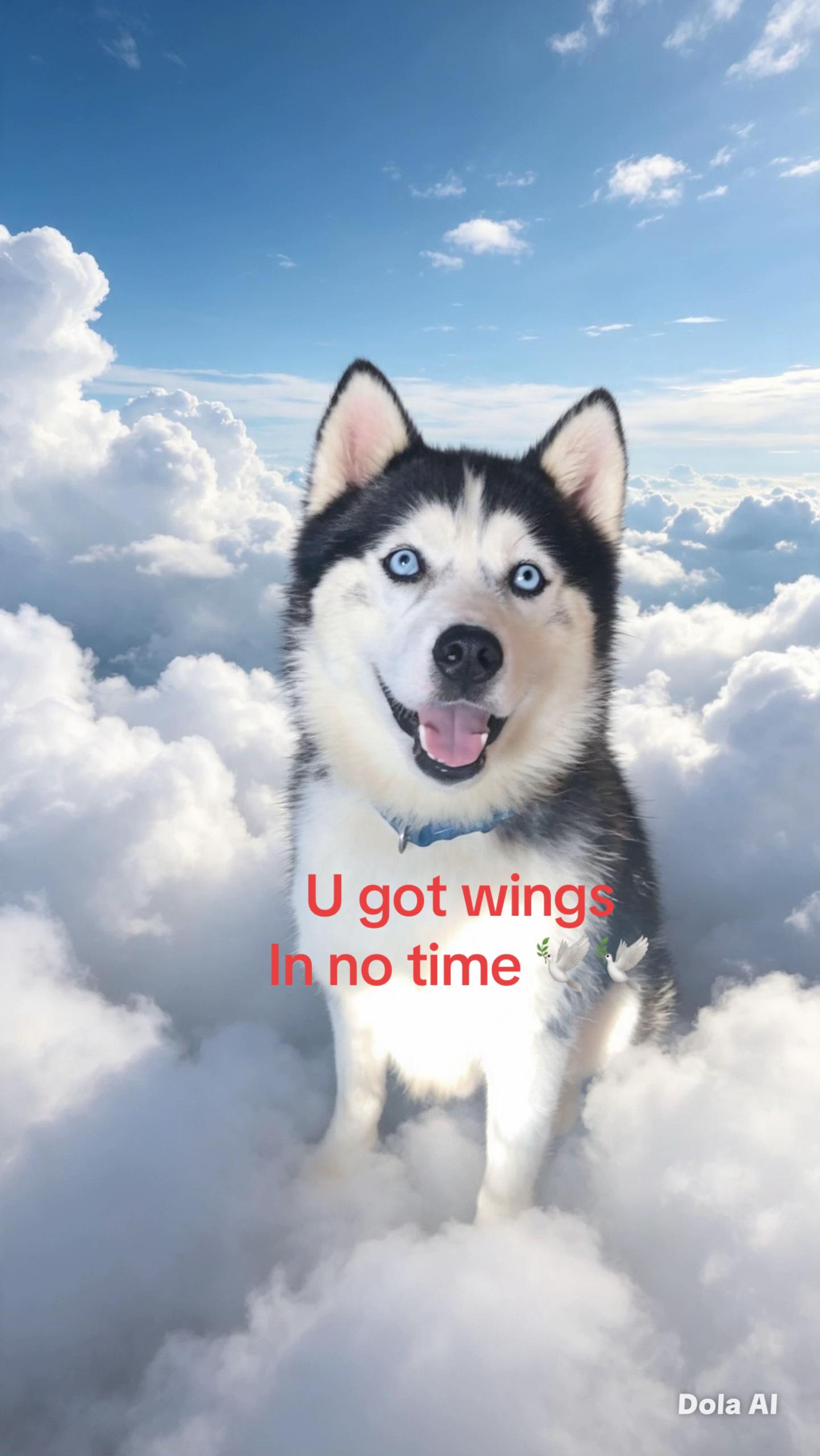 @Tamara Smithyman