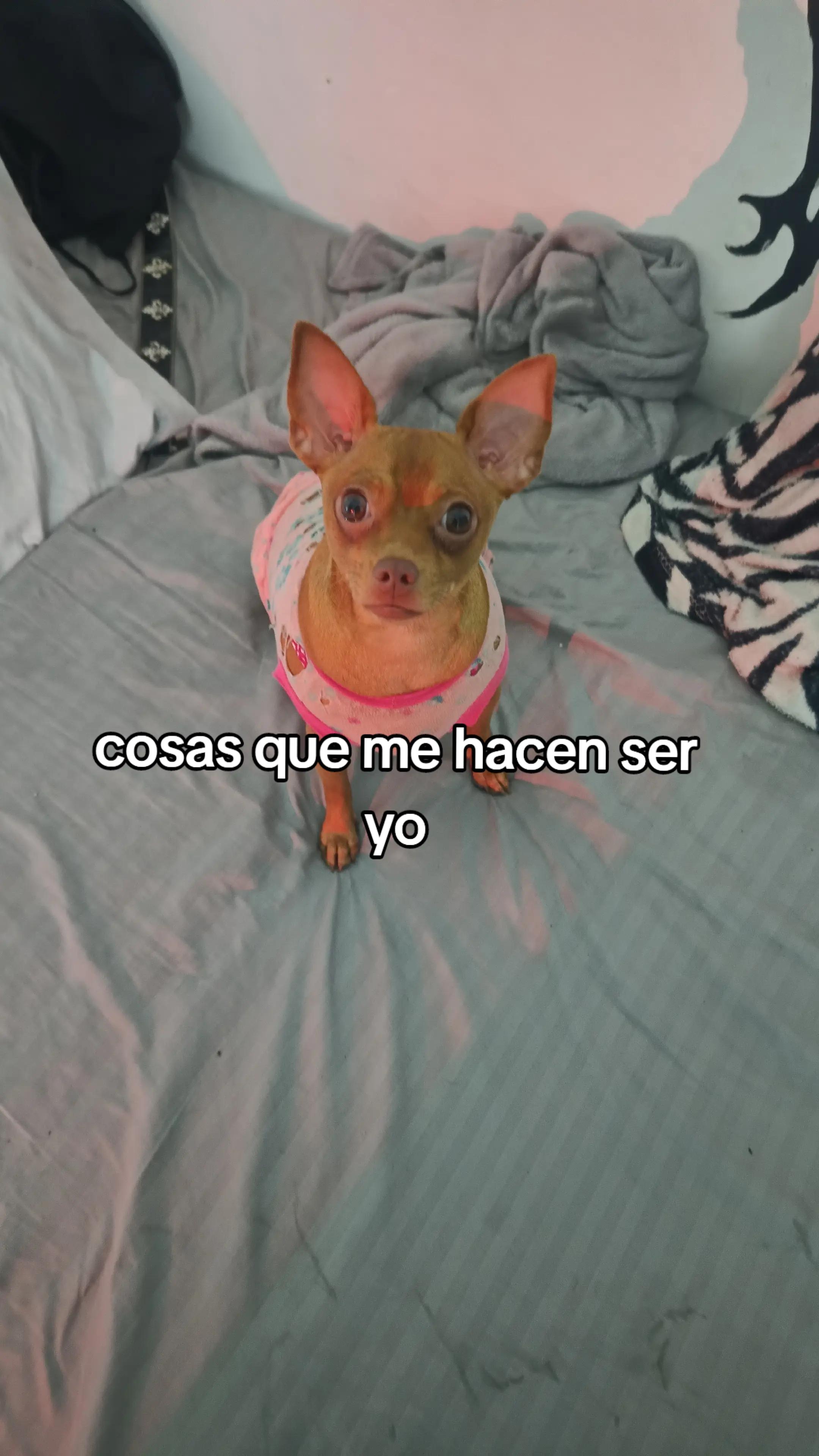 @Vale66q