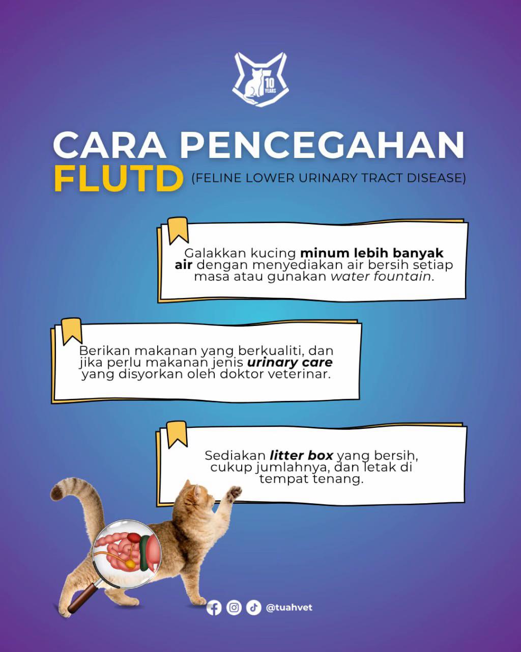 @Tuahvet