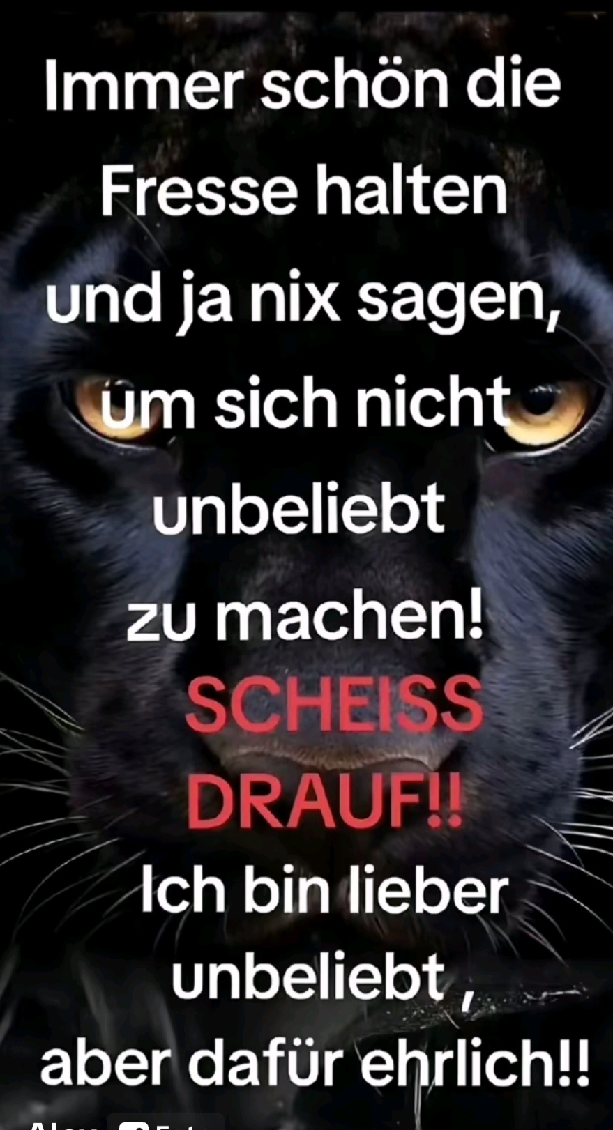 @alpro66