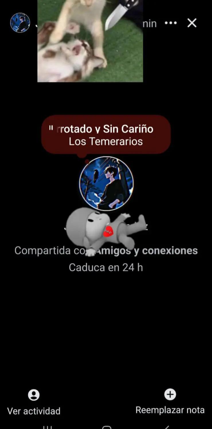 @moreno