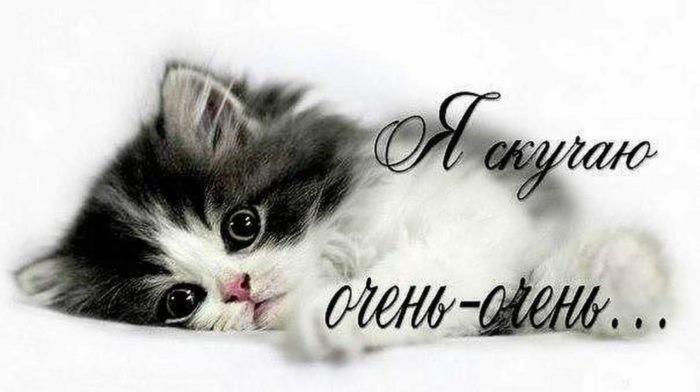 @😹
