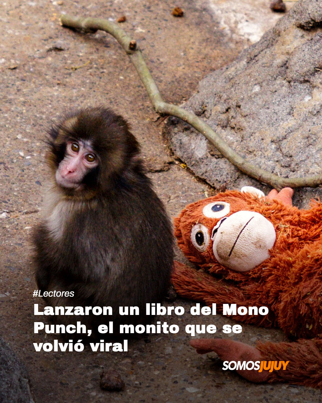 @Somos Jujuy
