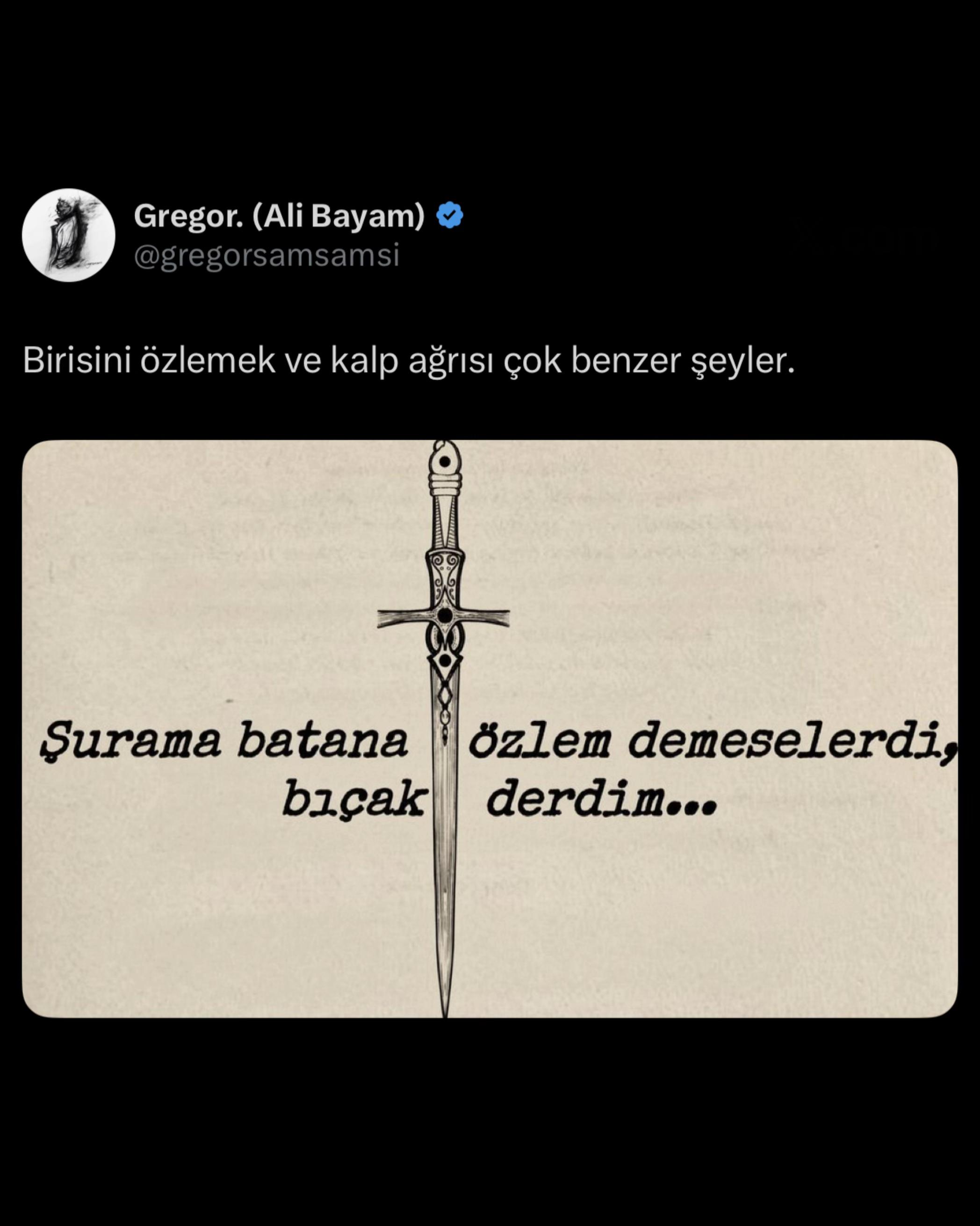@Ali Bayam