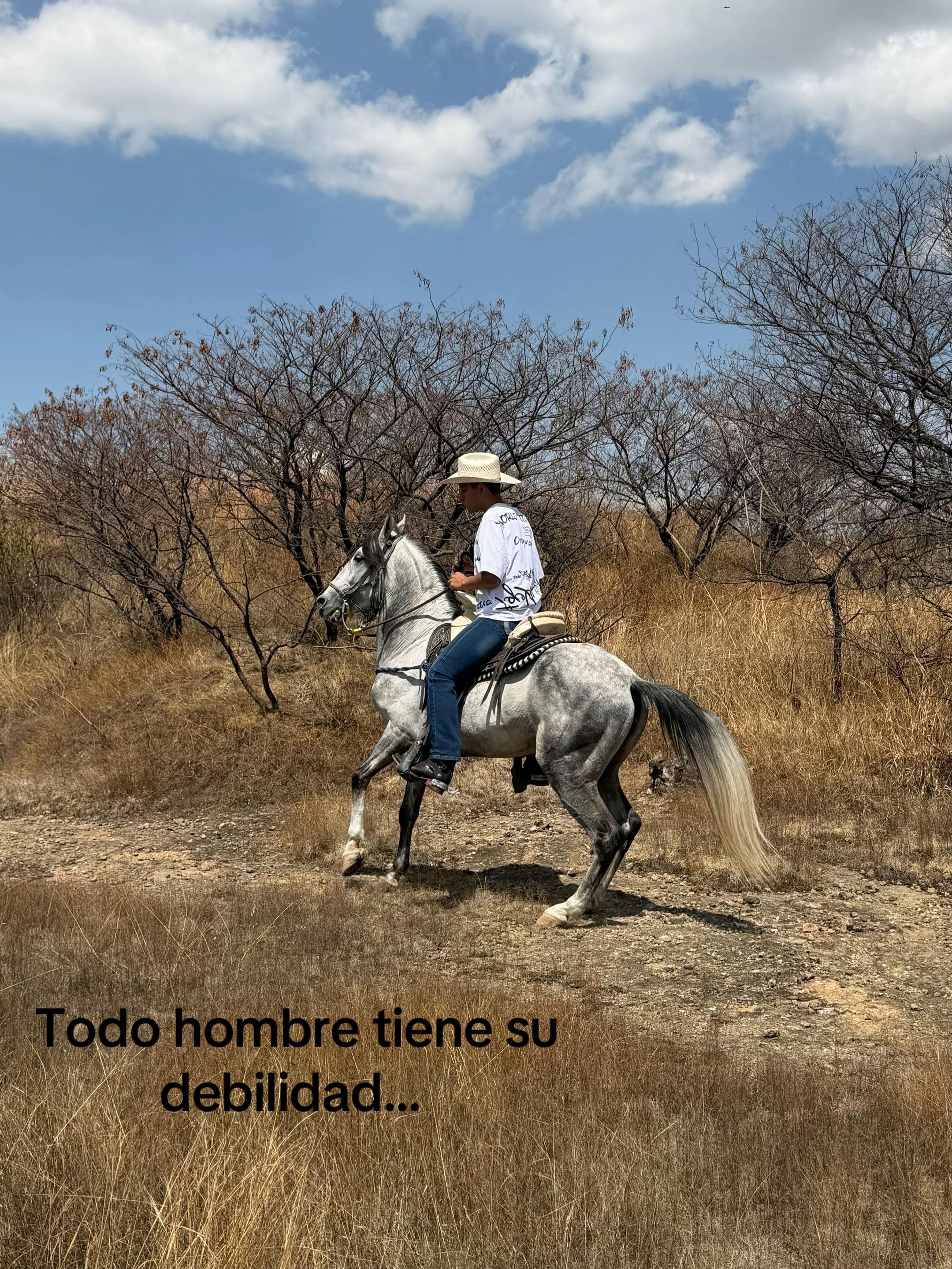 @DestradaL