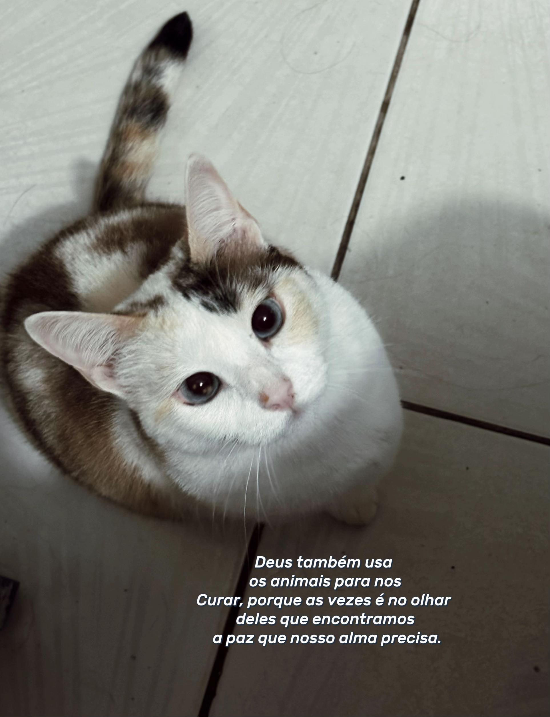 @_eucarol.souza