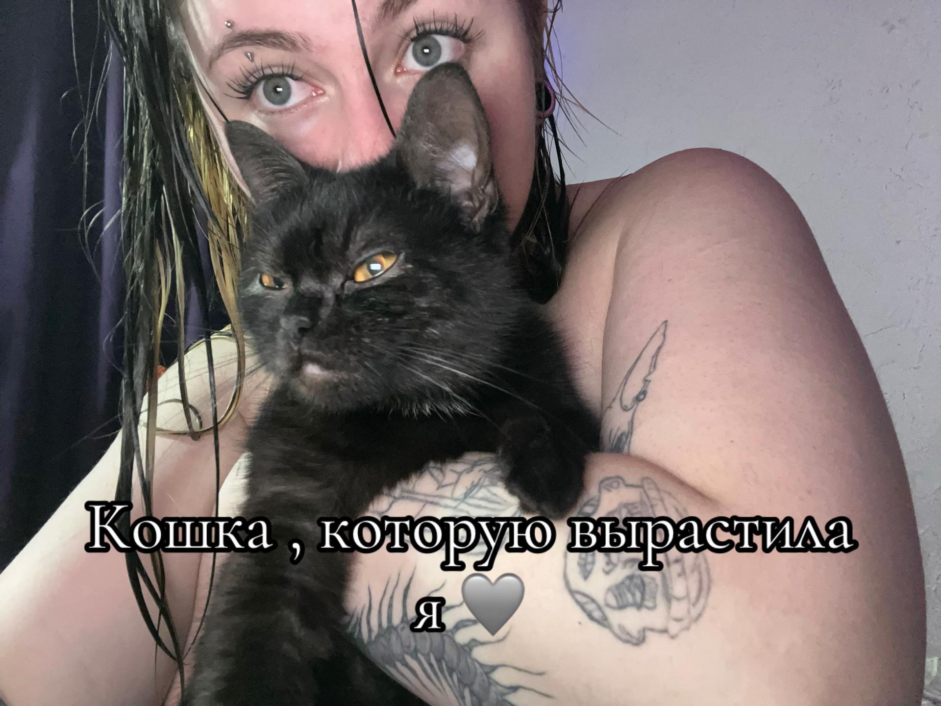 @&times;koska