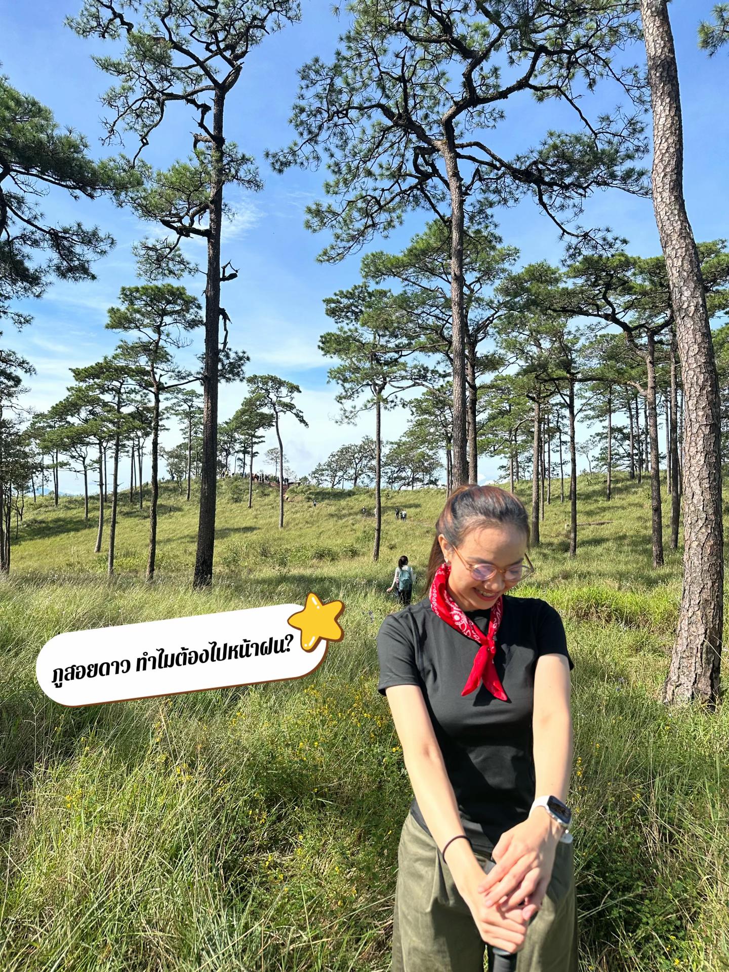 @ดรีมเอิ้นดาวกะได้