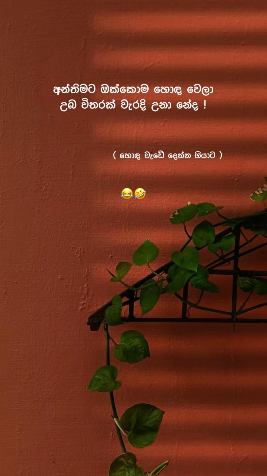 @< 𝐂𝐡𝐚𝐦𝐨 ᥫ᭡