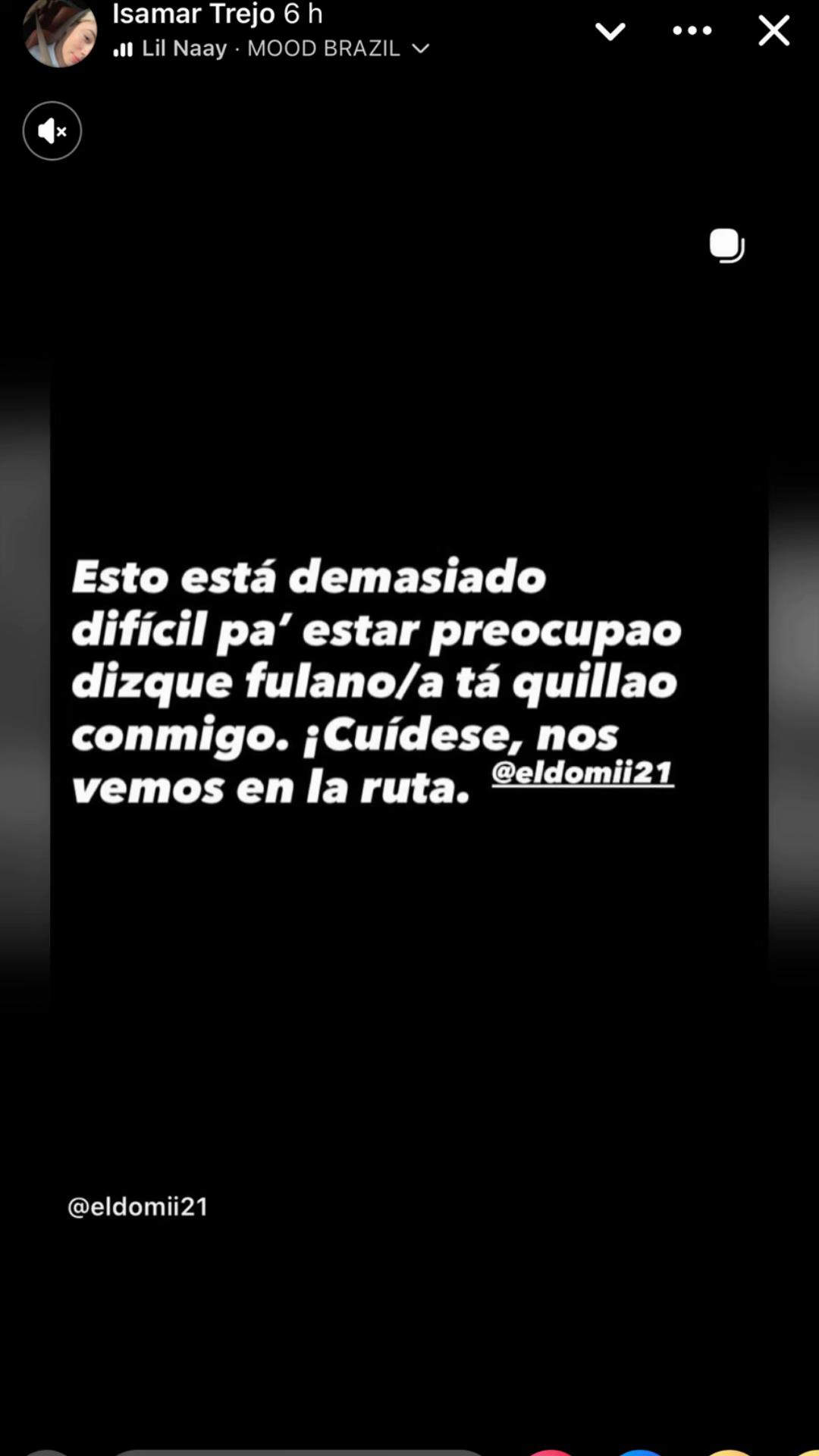 @vienelli